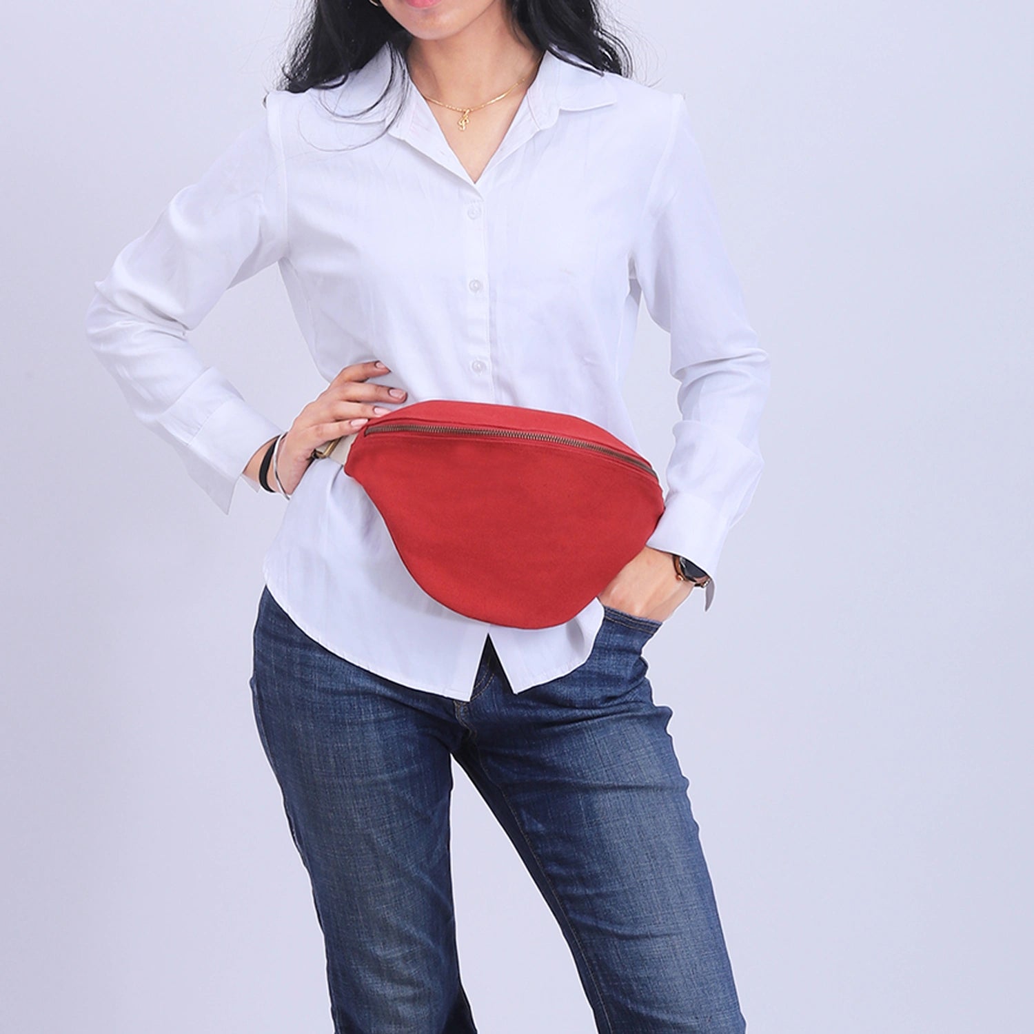 "Portable Safira dog carrier bag"