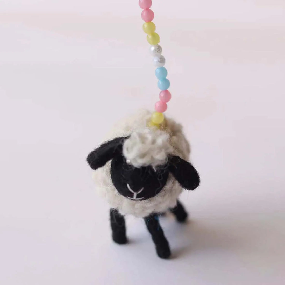 "Luxurious lamb wool sweater for your pet"