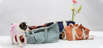 D Originals is Now DOG: Redefining What It Means to Be OG - DOG D Originals