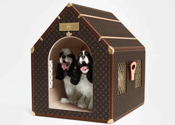 Louis Vuitton’s new Dog Collection - DOG D Originals